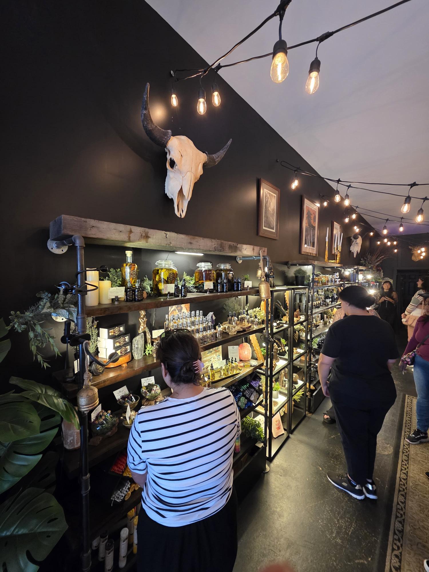A moody apothecary-style crystal shop with vintage lighting on a Sticks and Stones Bay Area crystal tour